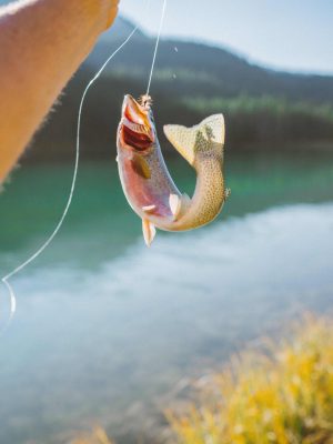 Fisch gefangen am Geh-Angeln-Tag